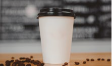 1000 pcs 8oz White Single Wall Coffee Cups